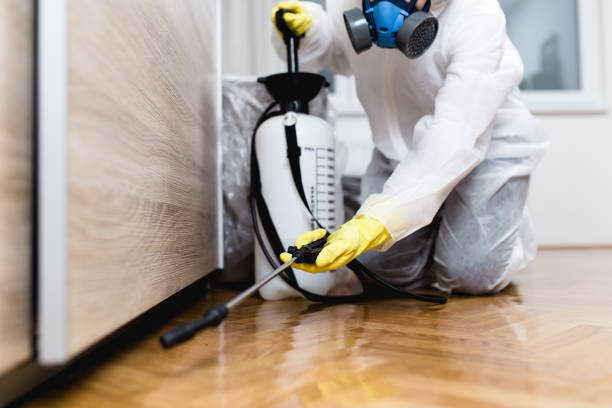 Best Cockroach Control Services  in Sheldon, IL