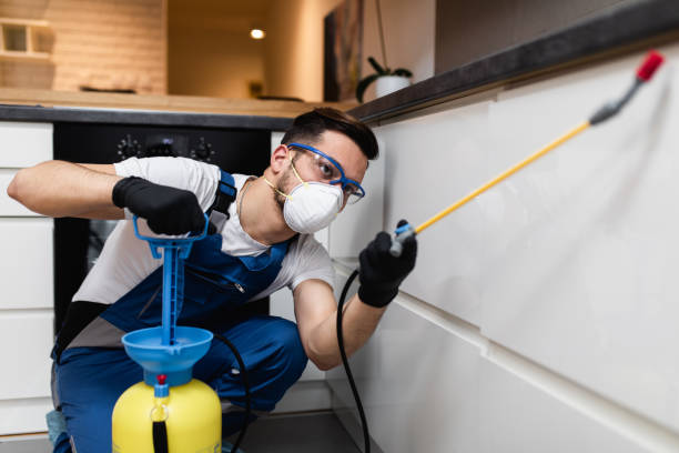 Best Bed Bug Extermination  in Sheldon, IL