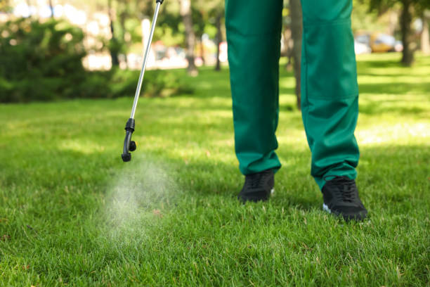 Best Affordable Pest Control Services  in Sheldon, IL