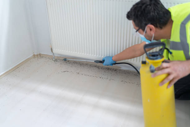 Best Commercial Pest Control Services  in Sheldon, IL